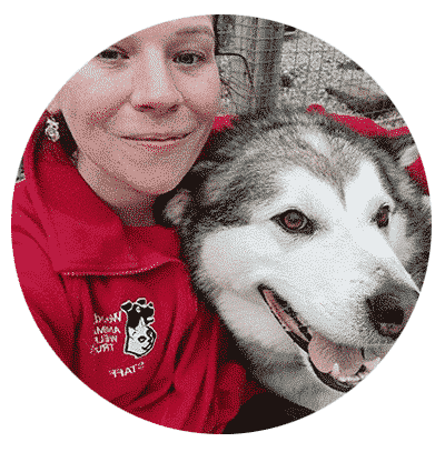 Member of staff and Loki the Malamute