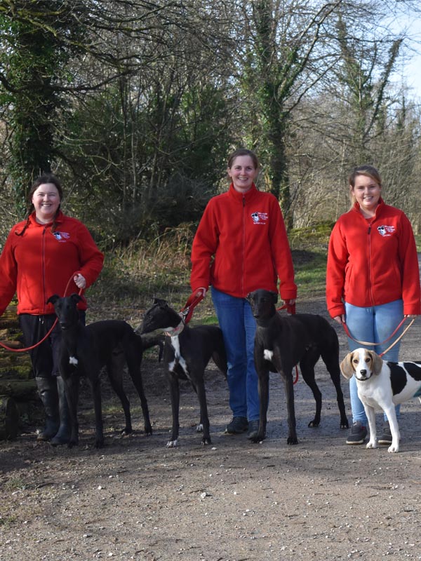 Volunteers taking dogs for walk