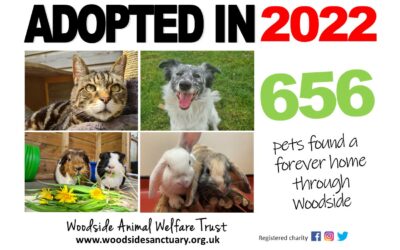 2022 Animal Homing Figures