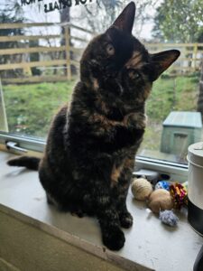 Sam