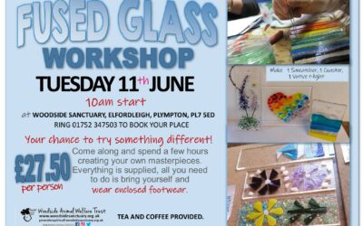 Fused Glass Workshop – FULLY BOOKED