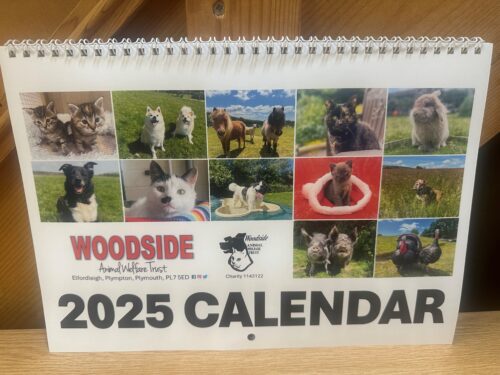 2025 Calendar