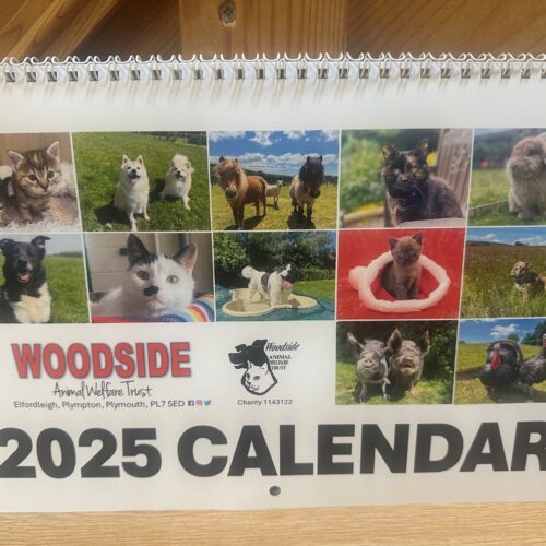 2025 Calendar