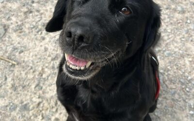 Bella