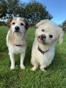 Charlie and Rosie