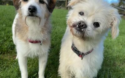 Charlie and Rosie