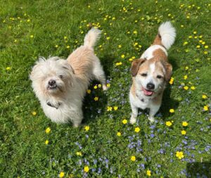 Charlie and Rosie