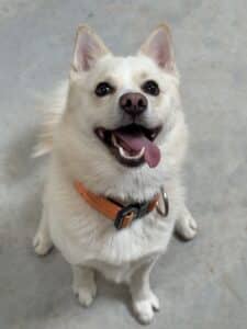Max