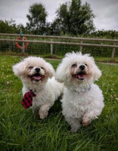 Alvin and Yania