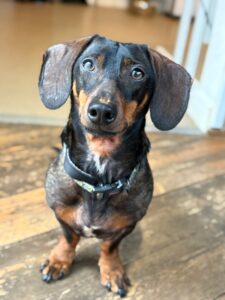 Archie