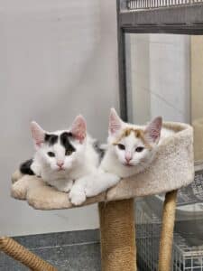 Ed & Eddie