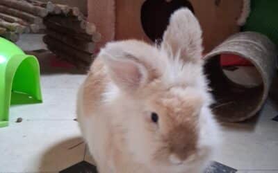 Sunni and Coco