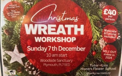 Christmas Wreath Workshop