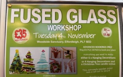 Fused Glass workshop