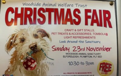 Christmas Fair