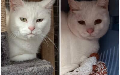 Sylvia and Pearl