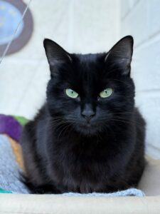 Narla