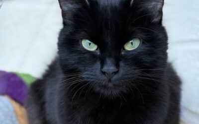 Narla