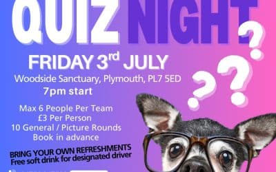 Quiz Night