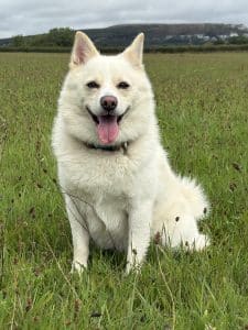 Max