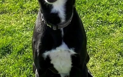 Benny