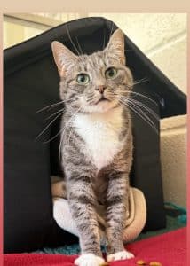 Gabby