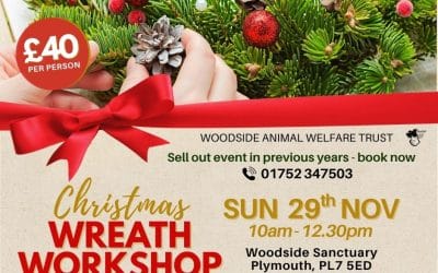 Wreath Making