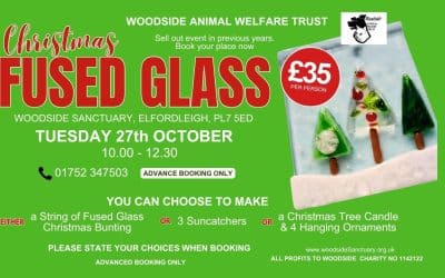 Christmas Fused Glass Workshop