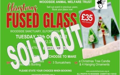 Christmas Fused Glass Workshop – morning