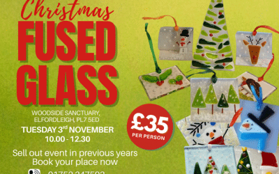Christmas Fused Glass Workshop
