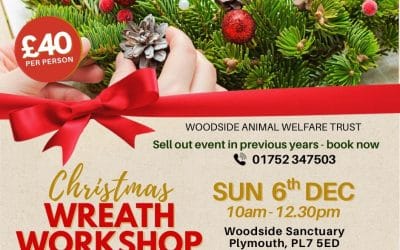 Wreath Making