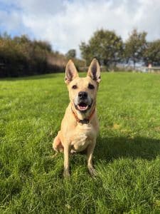 Coco