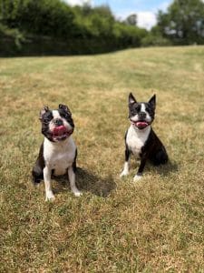 Faith and Luna