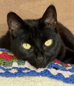 Maggie