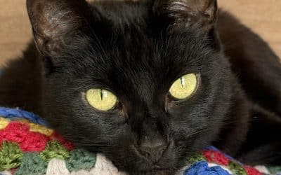 Maggie
