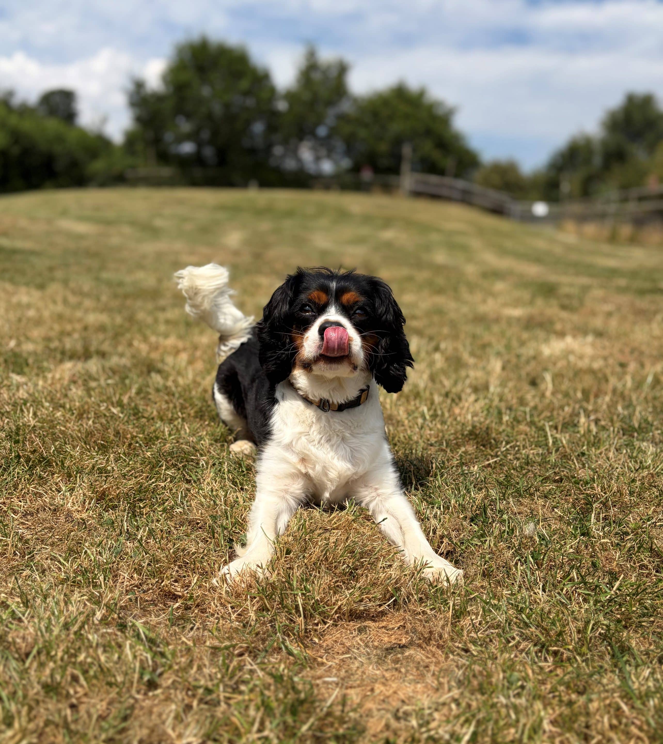 Tucker