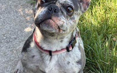Roxy