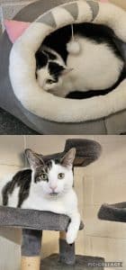 Salt & Pepper