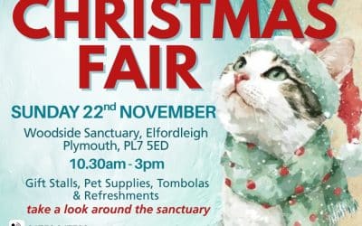 Christmas Fair