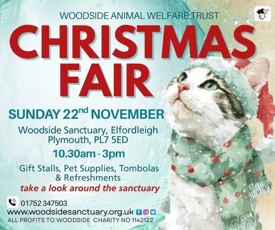 Christmas Fair 2