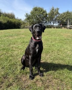 Xena