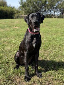 Xena