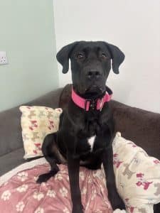 Xena