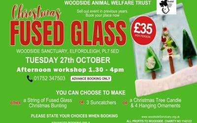 Christmas Fused Glass Workshop – afternoon session.