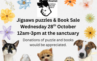 Jigsaw Puzzle & Book Sale