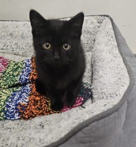 Milo